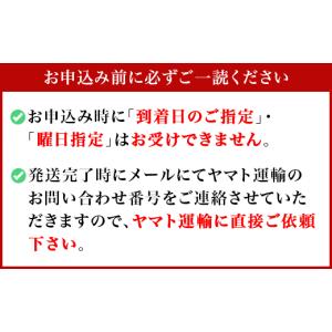 ふるさと納税 メロン メロン青肉 茨城県 下妻...の詳細画像4