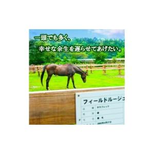 ふるさと納税 生き物 高知県 須崎市 競走馬 ...の詳細画像4