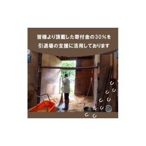 ふるさと納税 生き物 高知県 須崎市 競走馬 ...の詳細画像5