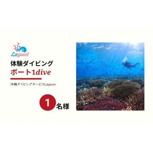 ふるさと納税 沖縄県 恩納村 チケット ボート体験 ダイビング 1名 沖縄サンゴの村【恩納村ラグーン...