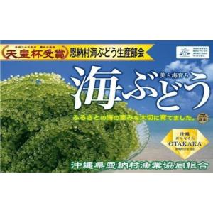 ふるさと納税 沖縄県 恩納村 恩納村産 生海ぶどう １kg...