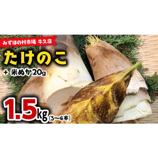 ふるさと納税 茨城県 牛久市 茨城県産 たけのこ 1.5kg （ 米ぬか 付き） 国産 タケノコ 筍...