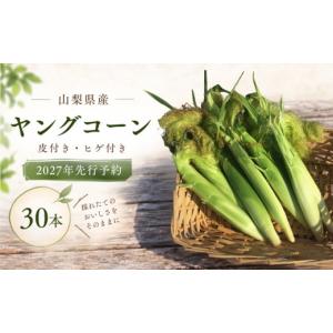 ふるさと納税 とうもろこし 山梨県 都留市 2...の詳細画像1