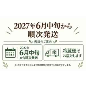 ふるさと納税 とうもろこし 山梨県 都留市 2...の詳細画像2