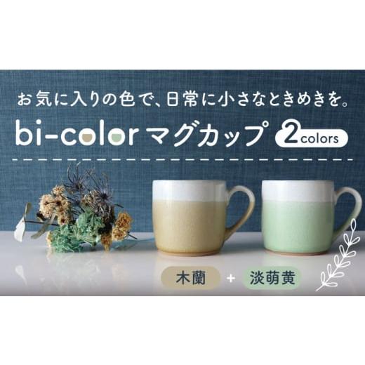 ふるさと納税 岐阜県 土岐市 【美濃焼】 bi-color マグカップ 2色セット (淡萌黄・木蘭)...