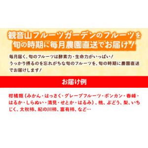 ふるさと納税 果物の詰合せ 和歌山県 紀の川市...の詳細画像2