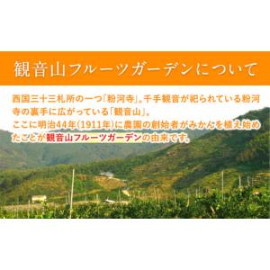 ふるさと納税 果物の詰合せ 和歌山県 紀の川市...の詳細画像3