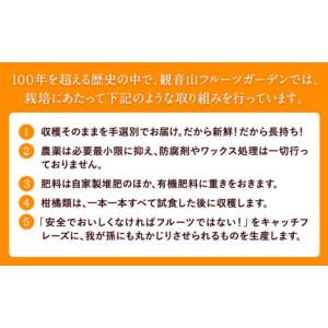 ふるさと納税 果物の詰合せ 和歌山県 紀の川市...の詳細画像4