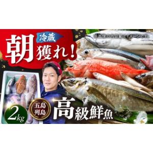 長野産 採れたて天然 香茸 こうたけ 400g入 産地直送 asai * ふるさと