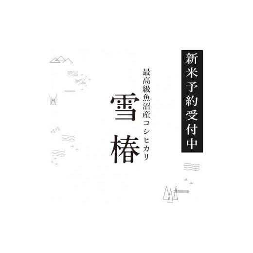 ふるさと納税 新潟県 津南町 【期間限定】令和6年産新米予約 最高級魚沼産コシヒカリ「雪椿」30kg...