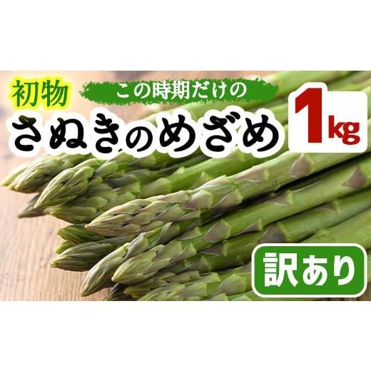 ふるさと納税 香川県 まんのう町 ＜期間限定！2025年2月中旬以降順次発送予定＞＜訳あり＞初物！ア...