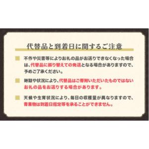 ふるさと納税 果物類 さくらんぼ 山形県 尾花...の詳細画像5