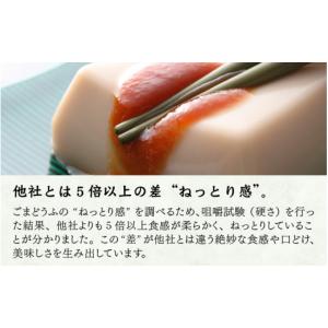 ふるさと納税 加工品等 豆腐 福井県 永平寺町...の詳細画像5