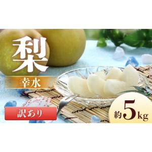 ふるさと納税 梨 長野県 豊丘村 2026年発送先行予約 梨 幸水 訳あり品 約5kg 8〜16玉 2026年8月中旬〜9月上旬発送予定