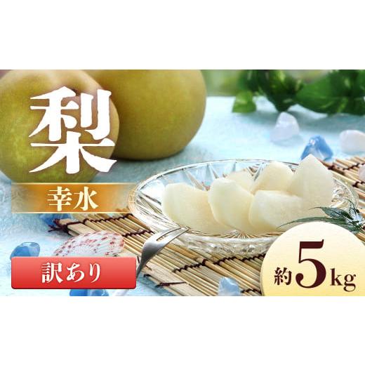 ふるさと納税 梨 長野県 豊丘村  2026年発送先行予約 梨 幸水 訳あり品 約5kg 8〜16玉...
