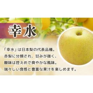 ふるさと納税 梨 長野県 豊丘村 2026年発...の詳細画像2