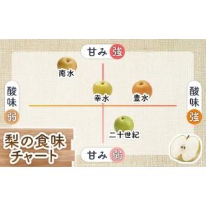 ふるさと納税 梨 長野県 豊丘村 2026年発...の詳細画像3
