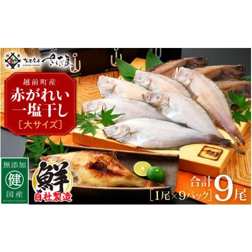 ふるさと納税 福井県 越前町 干物 セット 赤がれい 一塩干し 大サイズ （1尾 × 9パック入り）...