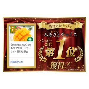 ふるさと納税 マンゴー 沖縄県 伊江村 202...の詳細画像2