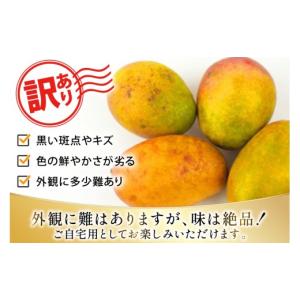 ふるさと納税 マンゴー 沖縄県 伊江村 202...の詳細画像3