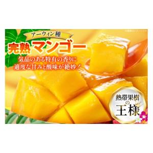 ふるさと納税 マンゴー 沖縄県 伊江村 202...の詳細画像4