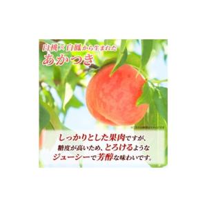 ふるさと納税 もも 長野県 小諸市 先行予約 ...の詳細画像3