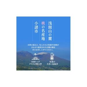 ふるさと納税 もも 長野県 小諸市 先行予約 ...の詳細画像4
