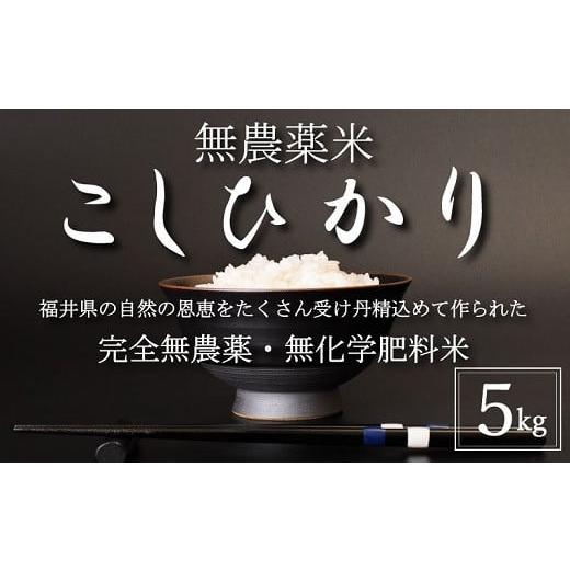 ふるさと納税 福井県 越前市 【新米 令和5年産・白米】無農薬米5kg【こしひかり】 白米