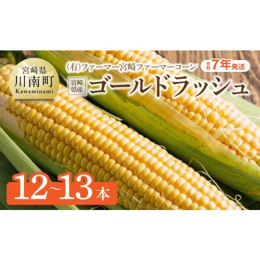 ふるさと納税 宮崎県 川南町 【令和6年産】(有)ファーマー宮崎 ファーマーコーン宮崎県産とうもろこ...