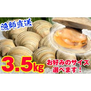 ふるさと納税 千葉県 富津市 漁師直送！活ホンビノス貝3.5kg（Sサイズ） Ｓサイズ【１ヶ月以内発...