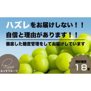 ふるさと納税 山梨県 笛吹市 【全房糖度18度保証付】シャインマスカット 1kg以上【数量限定】旬の美味しいフルーツだけをお届けします【ルッチ Rucci】産地直…｜furusatochoice