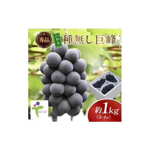 ふるさと納税 ぶどう 巨峰 山梨県 山梨市 ハウス種なし巨峰(3〜4房)／80 1299400