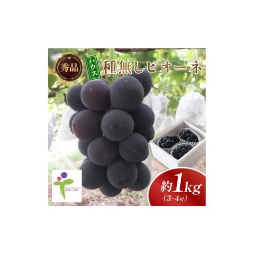 ふるさと納税 果物類 ぶどう 山梨県 山梨市 ハウス種無しピオーネ(3〜4房)／80 1299403