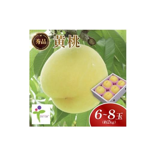 ふるさと納税 もも 山梨県 山梨市 黄金桃(6〜8玉)／80 1299729