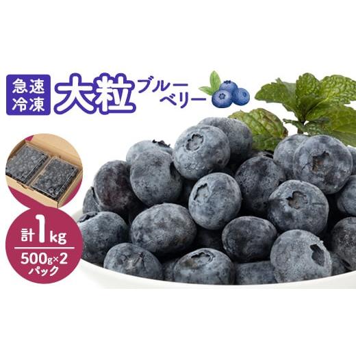 ふるさと納税 千葉県 佐倉市 ＜大粒＞冷凍ブルーベリー1kg(500g×2パック)【1292650】