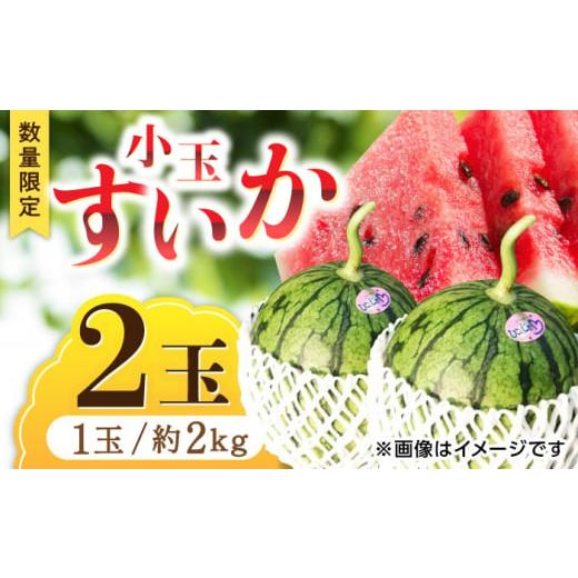 ふるさと納税 熊本県 山鹿市 【数量限定】【先行予約】 小玉 すいか 2玉 【合同会社 福福堂】 ス...