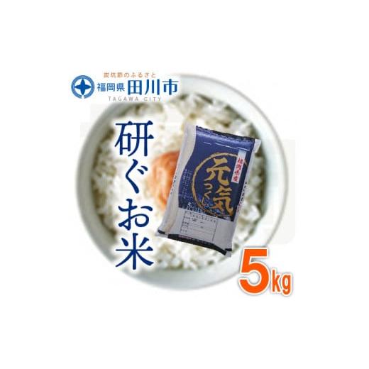 ふるさと納税 福岡県 田川市 福岡県産元気つくし 5kg×1