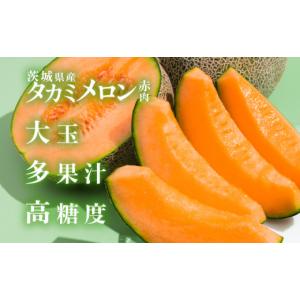 ふるさと納税 メロン メロン赤肉 茨城県 下妻...の詳細画像2