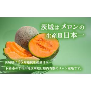 ふるさと納税 メロン メロン赤肉 茨城県 下妻...の詳細画像3