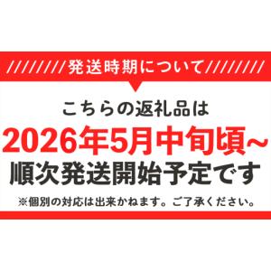ふるさと納税 メロン メロン赤肉 茨城県 下妻...の詳細画像5