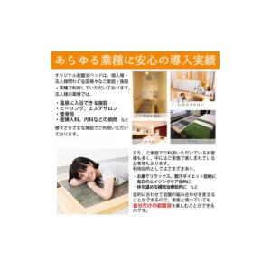 ふるさと納税 美容 鹿児島県 阿久根市 設置式...の詳細画像4