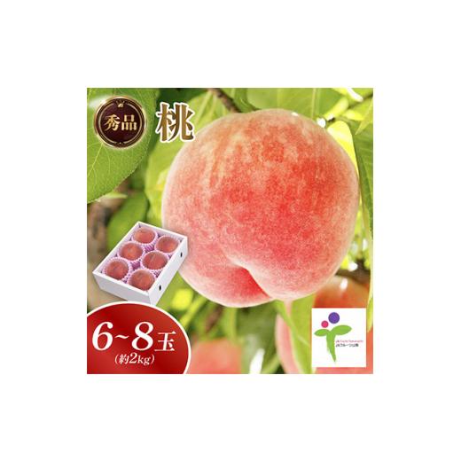 ふるさと納税 もも 山梨県 山梨市 もも(6〜8玉)／80 1299423