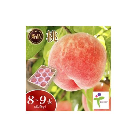 ふるさと納税 もも 山梨県 山梨市 もも(8〜9玉)／80 1299425