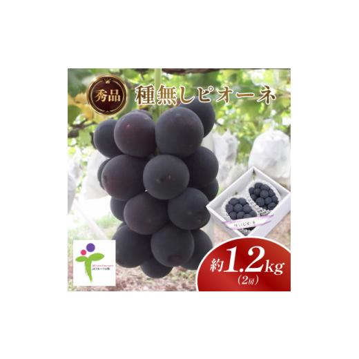 ふるさと納税 果物類 ぶどう 山梨県 山梨市 種なしピオーネ(2房)／80 1300105