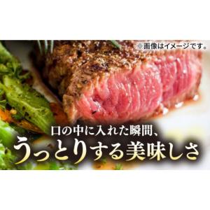 ふるさと納税 牛肉 ステーキ 長崎県 壱岐市 ...の詳細画像2
