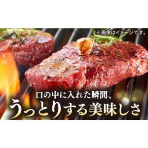 ふるさと納税 牛肉 ヒレ 長崎県 壱岐市 全1...の詳細画像2