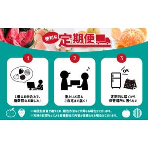 ふるさと納税 果物の詰合せ 熊本県 玉名市 定...の詳細画像2