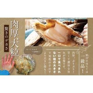 ふるさと納税 魚貝類 ホタテ 北海道 別海町 ...の詳細画像4
