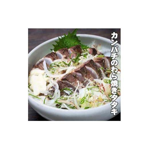 ふるさと納税 高知県 高知市 カンパチのわら焼きタタキセット（6〜7人前）薬味付き | 冷蔵