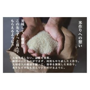 ふるさと納税 米 コシヒカリ 新潟県 南魚沼市...の詳細画像2
